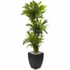 Discount 🎉 Nearly Natural 5.5' Corn Stalk Dracaena With Black Wash Planter 🔥 -Nearly Natural Sales unnamed file 797