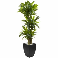 Discount 🎉 Nearly Natural 5.5' Corn Stalk Dracaena With Black Wash Planter 🔥