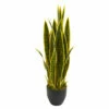 New π Nearly Natural 33" Sansevieria Artificial Plant π 1 New π Nearly Natural 33" Sansevieria Artificial Plant π -Nearly Natural Sales unnamed file 803