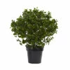 New 🛒 Nearly Natural UV-Resistant 28" Peperomia Plant Indoor/Outdoor 🤩 -Nearly Natural Sales unnamed file 805