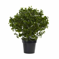 New 🛒 Nearly Natural UV-Resistant 28" Peperomia Plant Indoor/Outdoor 🤩