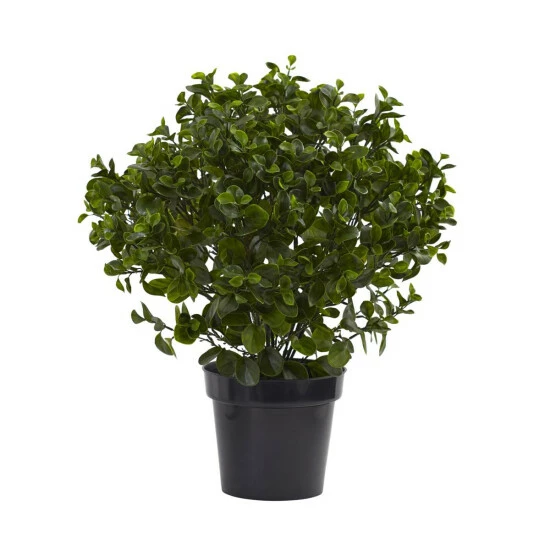 New 🛒 Nearly Natural UV-Resistant 28" Peperomia Plant Indoor/Outdoor 🤩 3 New 🛒 Nearly Natural UV-Resistant 28" Peperomia Plant Indoor/Outdoor 🤩