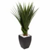Top 10 😍 Nearly Natural 4.5' Spiked Agave In Black Planter Indoor/Outdoor ⭐ -Nearly Natural Sales unnamed file 806