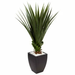 Top 10 😍 Nearly Natural 4.5' Spiked Agave In Black Planter Indoor/Outdoor ⭐