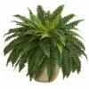 Wholesale 👍 Nearly Natural 22" Boston Fern Artificial Plant In Sandstone Planter 💯 -Nearly Natural Sales unnamed file 808