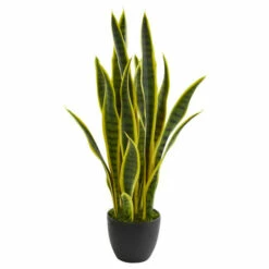 Outlet 💯 Nearly Natural 26" Sansevieria Artificial Plant 🎉