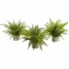 Best reviews of 🤩 Nearly Natural 14" Fern Pot 3-pack 👏 -Nearly Natural Sales unnamed file 816