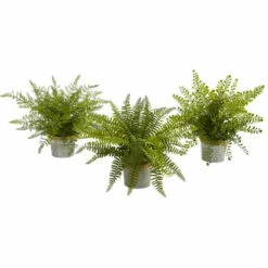Best reviews of 🤩 Nearly Natural 14" Fern Pot 3-pack 👏