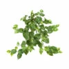 Best Pirce 🧨 Nearly Natural 30" Pothos Hanging Bush 3-pack 🔔 -Nearly Natural Sales unnamed file 819
