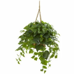 Hot Sale 😀 Nearly Natural 38" London Ivy Artificial Plant In Hanging Basket 🛒