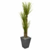 Top 10 🔥 Nearly Natural 5.5' Triple Stalk Yucca Artificial Plant, Slate Planter ✨ -Nearly Natural Sales unnamed file 822