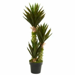 Best reviews of 😉 Nearly Natural 3.5 Ft. Agave Artificial Plant ❤️