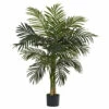 Discount 🔥 Nearly Natural 4 Ft. 2-Trunk Golden Cane Palm Tree ⌛ -Nearly Natural Sales unnamed file 826