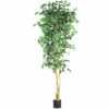 Best Pirce π Nearly Natural 7 Ft. Ficus Tree With 1,260 Leaves π 2 Best Pirce π Nearly Natural 7 Ft. Ficus Tree With 1,260 Leaves π -Nearly Natural Sales unnamed file 827