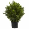 Hot Sale 🤩 Nearly Natural 2 Ft. Cedar Bush Indoor/Outdoor Plant ⌛ -Nearly Natural Sales unnamed file 830
