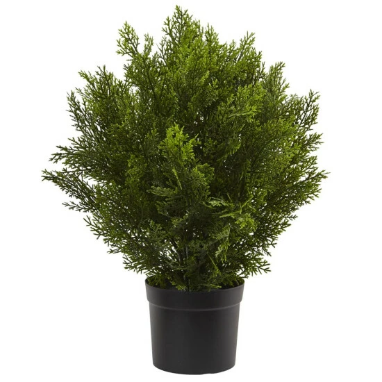 Hot Sale π€© Nearly Natural 2 Ft. Cedar Bush Indoor/Outdoor Plant β 3 Hot Sale π€© Nearly Natural 2 Ft. Cedar Bush Indoor/Outdoor Plant β