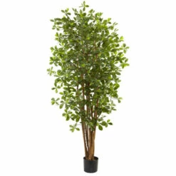 Brand new π― Nearly Natural 6 Ft. Black Olive Tree With 940 Leaves β€οΈ