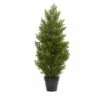 Top 10 😉 Nearly Natural 3 Ft. Mini Cedar Pine Tree Indoor/Outdoor Plant 🛒 -Nearly Natural Sales unnamed file 833