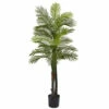 Discount π Nearly Natural 5.5 Ft. UV Resistant Double Robellini Palm Tree π₯ 1 Discount π Nearly Natural 5.5 Ft. UV Resistant Double Robellini Palm Tree π₯ -Nearly Natural Sales unnamed file 844