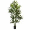 Budget 🔥 Nearly Natural 7 Ft. Kentia Palm With 230 Leaves 🎁 -Nearly Natural Sales unnamed file 847