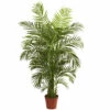 Best Pirce β¨ Nearly Natural 4.5 Ft. Areca Palm With 837 Leaves π 2 Best Pirce β¨ Nearly Natural 4.5 Ft. Areca Palm With 837 Leaves π -Nearly Natural Sales unnamed file 848