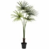 Buy 💯 Nearly Natural 7 Ft. UV Resistant Fan Palm Tree 🎉