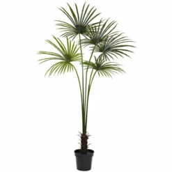 Buy 💯 Nearly Natural 7 Ft. UV Resistant Fan Palm Tree 🎉