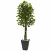 Best Sale π₯ Nearly Natural 6.5 Ft. UV Resistant Ficus Tree With Slate Planter 𧨠1 Best Sale π₯ Nearly Natural 6.5 Ft. UV Resistant Ficus Tree With Slate Planter 𧨠-Nearly Natural Sales unnamed file 864