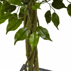 Best Sale 🔥 Nearly Natural 6.5 Ft. UV Resistant Ficus Tree With Slate Planter 🧨 -Nearly Natural Sales unnamed file 865