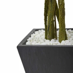 Best Sale 🔥 Nearly Natural 6.5 Ft. UV Resistant Ficus Tree With Slate Planter 🧨 -Nearly Natural Sales unnamed file 866