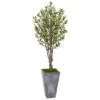 Discount 🌟 Nearly Natural 6 Ft. Olive Tree In Stone Planter 👍 -Nearly Natural Sales unnamed file 869