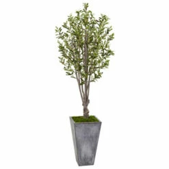 Discount 🌟 Nearly Natural 6 Ft. Olive Tree In Stone Planter 👍