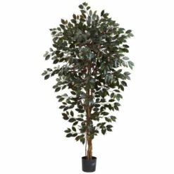 Buy 🌟 Nearly Natural 6 Ft. 3-Trunk Capensia Ficus Tree 👍