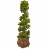 Brand new 🎁 Nearly Natural 4 Ft. UV Resistant English Ivy Tree In Planter 🔔 -Nearly Natural Sales unnamed file 872