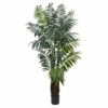 Coupon π Nearly Natural 7.5 Ft. Bulb Areca Palm Tree π 1 Coupon π Nearly Natural 7.5 Ft. Bulb Areca Palm Tree π -Nearly Natural Sales unnamed file 873