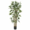 Hot Sale 🥰 Nearly Natural 4 Ft. Multi Bambusa Bamboo Tree 🛒 1 Hot Sale 🥰 Nearly Natural 4 Ft. Multi Bambusa Bamboo Tree 🛒 -Nearly Natural Sales unnamed file 875