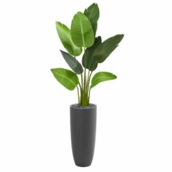 Coupon ✨ Nearly Natural 5.5 Ft. Traveler Palm Artificial Tree In Gray Planter 😍