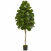 Wholesale π Nearly Natural 6 Ft. Fiddle Leaf Fig Artificial Tree π 2 Wholesale π Nearly Natural 6 Ft. Fiddle Leaf Fig Artificial Tree π -Nearly Natural Sales unnamed file 878