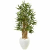 Discount 🥰 Nearly Natural 4 Ft. Bamboo Tree In White Oval Planter 💯 -Nearly Natural Sales unnamed file 879