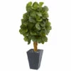 Discount π Nearly Natural 5.5 Ft. Fiddle Leaf Artificial Tree In Slate Planter π 1 Discount π Nearly Natural 5.5 Ft. Fiddle Leaf Artificial Tree In Slate Planter π -Nearly Natural Sales unnamed file 885