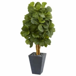 Discount 😀 Nearly Natural 5.5 Ft. Fiddle Leaf Artificial Tree In Slate Planter 🎁