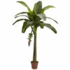 Brand new 🧨 Nearly Natural 6 Ft. Real Touch Banana Tree 🤩 -Nearly Natural Sales unnamed file 891
