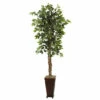 Best deal π Nearly Natural 6' 5" Ficus With Decorative Planter 𧨠1 Best deal π Nearly Natural 6' 5" Ficus With Decorative Planter 𧨠-Nearly Natural Sales unnamed file 894