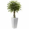 Buy π Nearly Natural 52" UV Resistant Ficus Tree With White Planter 𧨠2 Buy π Nearly Natural 52" UV Resistant Ficus Tree With White Planter 𧨠-Nearly Natural Sales unnamed file 898