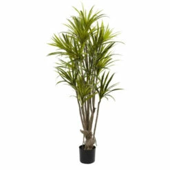 Best Pirce 😍 Nearly Natural 5 Ft. Dracaena Tree 💯