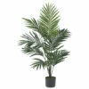 Buy ⭐ Nearly Natural 5 Ft. Kentia Palm Tree With 12 Fronds 🥰 -Nearly Natural Sales unnamed file 904