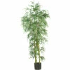 Best Sale 🌟 Nearly Natural 6 Ft. Fancy Slim Bamboo Tree With 1,850 Leaves 🎁 2 Best Sale 🌟 Nearly Natural 6 Ft. Fancy Slim Bamboo Tree With 1,850 Leaves 🎁 -Nearly Natural Sales unnamed file 908