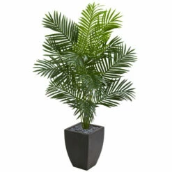 Best deal 😀 Nearly Natural 5.5 Ft. Artificial Paradise Palm Tree In Black Planter ⌛