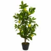 Wholesale 🎁 Nearly Natural 3 Ft. Artificial Lemon Tree 🔥 -Nearly Natural Sales unnamed file 920