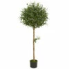Budget 🥰 Nearly Natural 5 Ft. Artificial Olive Topiary Tree 🥰 -Nearly Natural Sales unnamed file 927